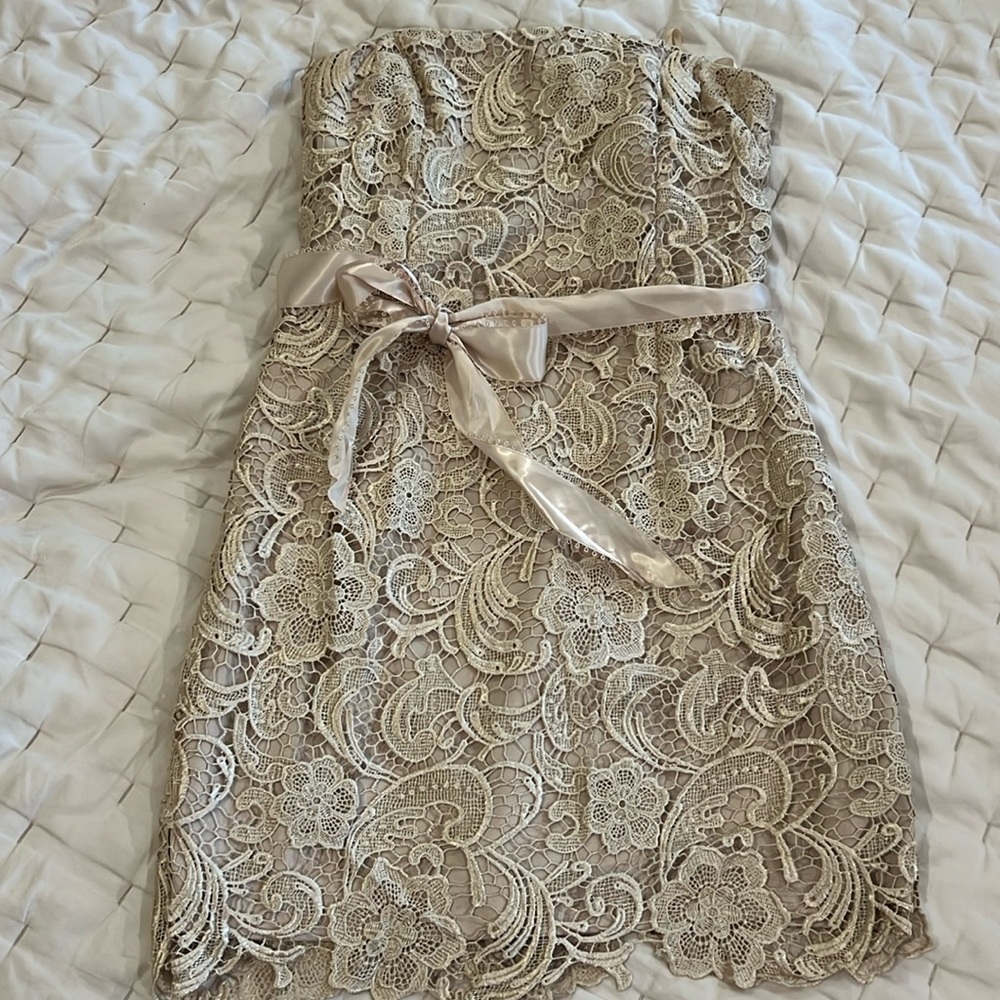 Cache dress worn once